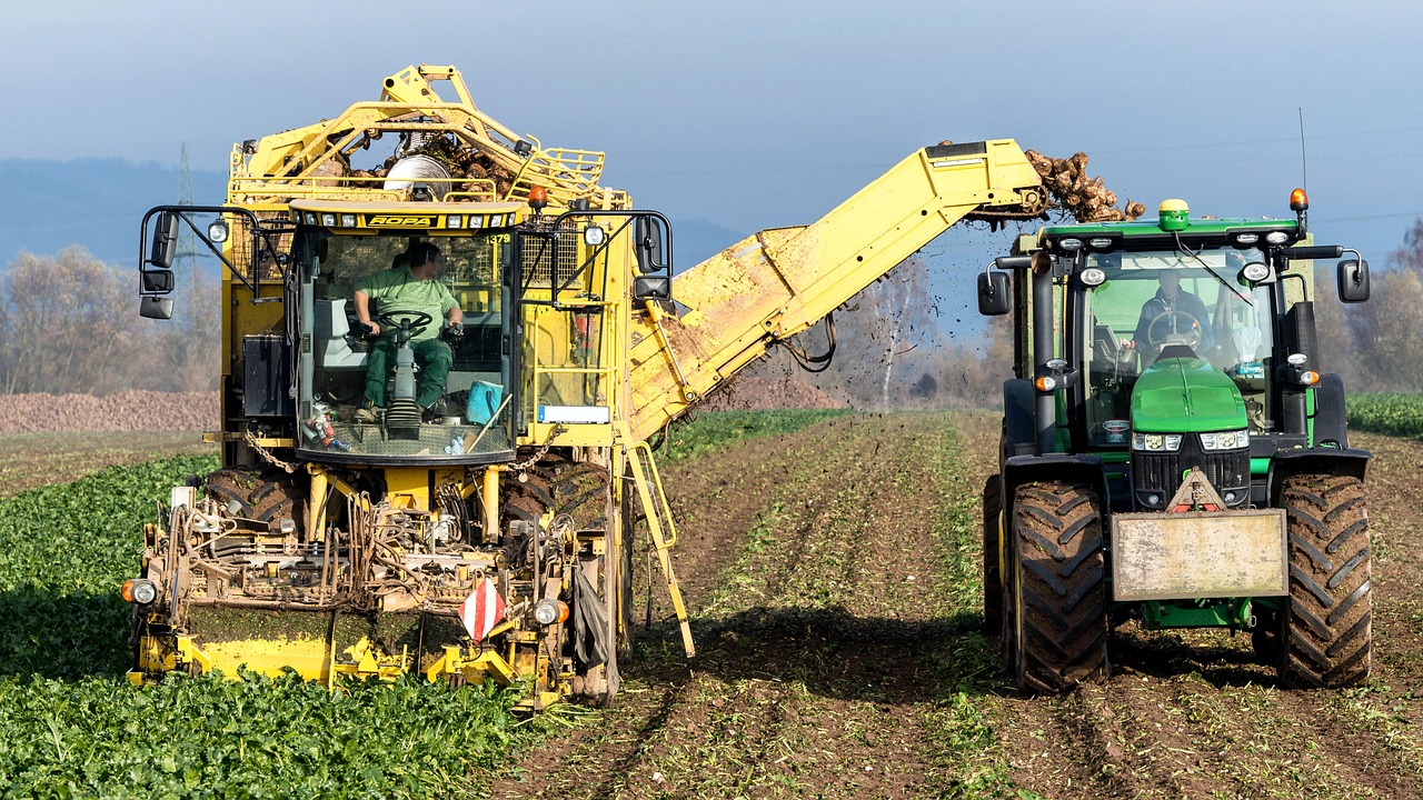 Unlock Workflow Flexibility: Custom GPTs Beat Rigid Automation
